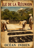 Affiche vintage séchage gousses de vanille Bourbon au soleil – Île de la Réunion, Océan Indien