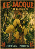 Affiche Île de la Réunion – Le Jacque