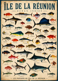 Affiche vintage planche naturaliste des poissons de l'Île de la Réunion, Océan Indien, 40+ espèces légendées