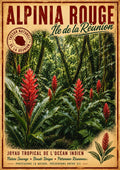alpinia rouge