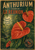 anthurium