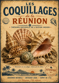 tableau coquillages 2