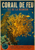 corail de feu