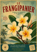 fleur frangipanier