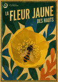 fleur jaune des hauts
