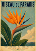 fleur oiseau de paradis