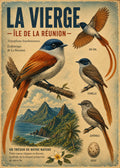 oiseau la vierge