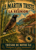 oiseaule martin triste