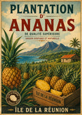 Plantation ananas
