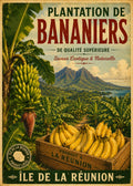 Bananeraie