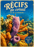 recif corail st pierre