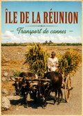 Transport de cannes