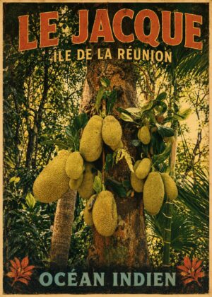 Affiche Île de la Réunion –