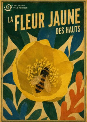 Fleur jaune des hauts