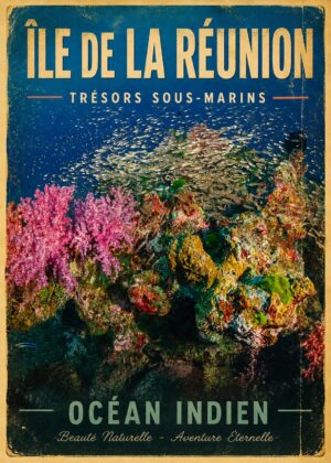 Tresor sous marin
